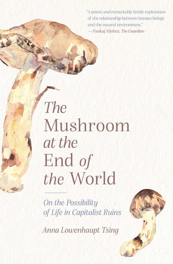 The Mushroom at the End of the World: On the Possibility of Life in Capitalist Ruins (New Book)