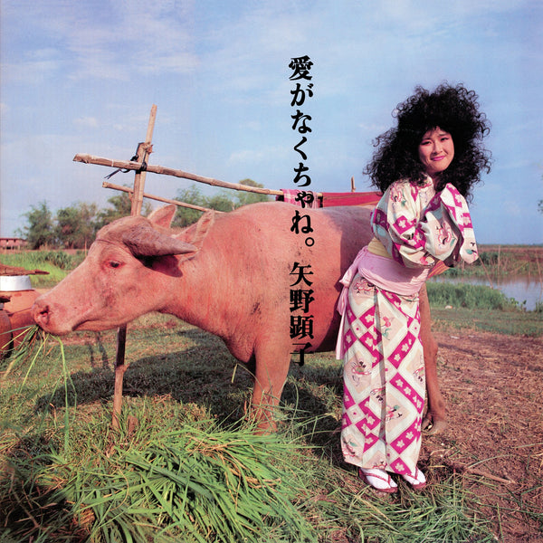 Akiko Yano - Ai Ga Nakucha Ne (New CD)