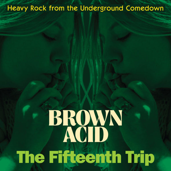 Various - Brown Acid - The Fifteenth Trip (New Vinyl)