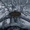 Mastodon - Hushed and Grim (New CD)