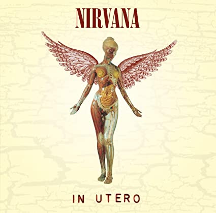 Nirvana - In Utero (20th Anniversary) (New CD)