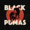 Black-pumas-black-pumas-new-cd