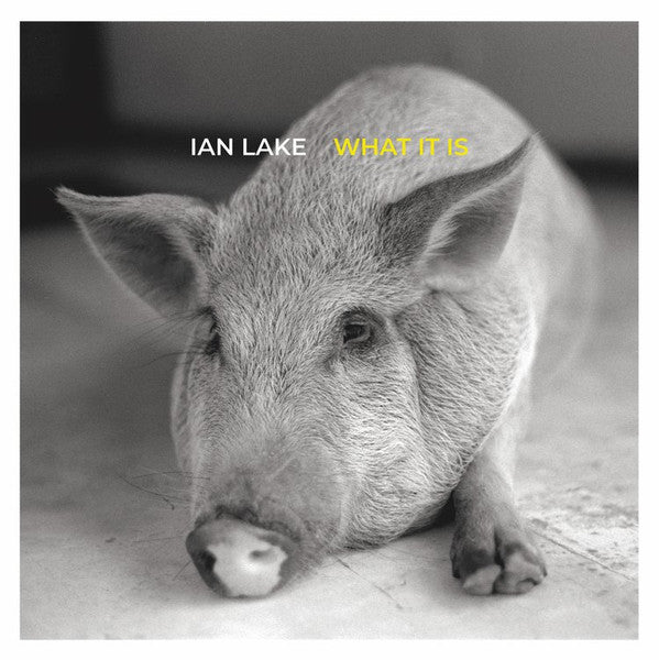 Ian Lake - What It Is (New Vinyl)