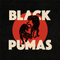 Black-pumas-black-pumas-new-vinyl