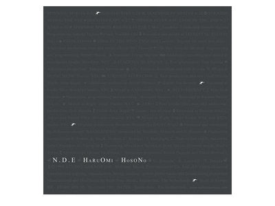 Haruomi Hosono - N.D.E. (New Vinyl)