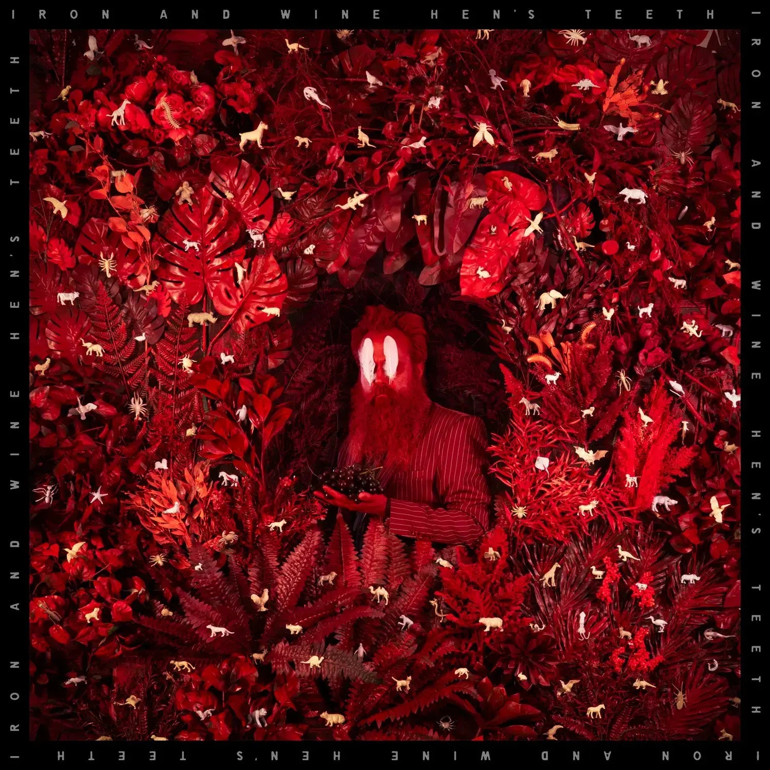 Iron & Wine - Hen's Teeth (Loser Edition/Coloured Vinyl) (New Vinyl)