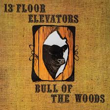 13th Floor Elevators - Bull of the Woods (New Vinyl)