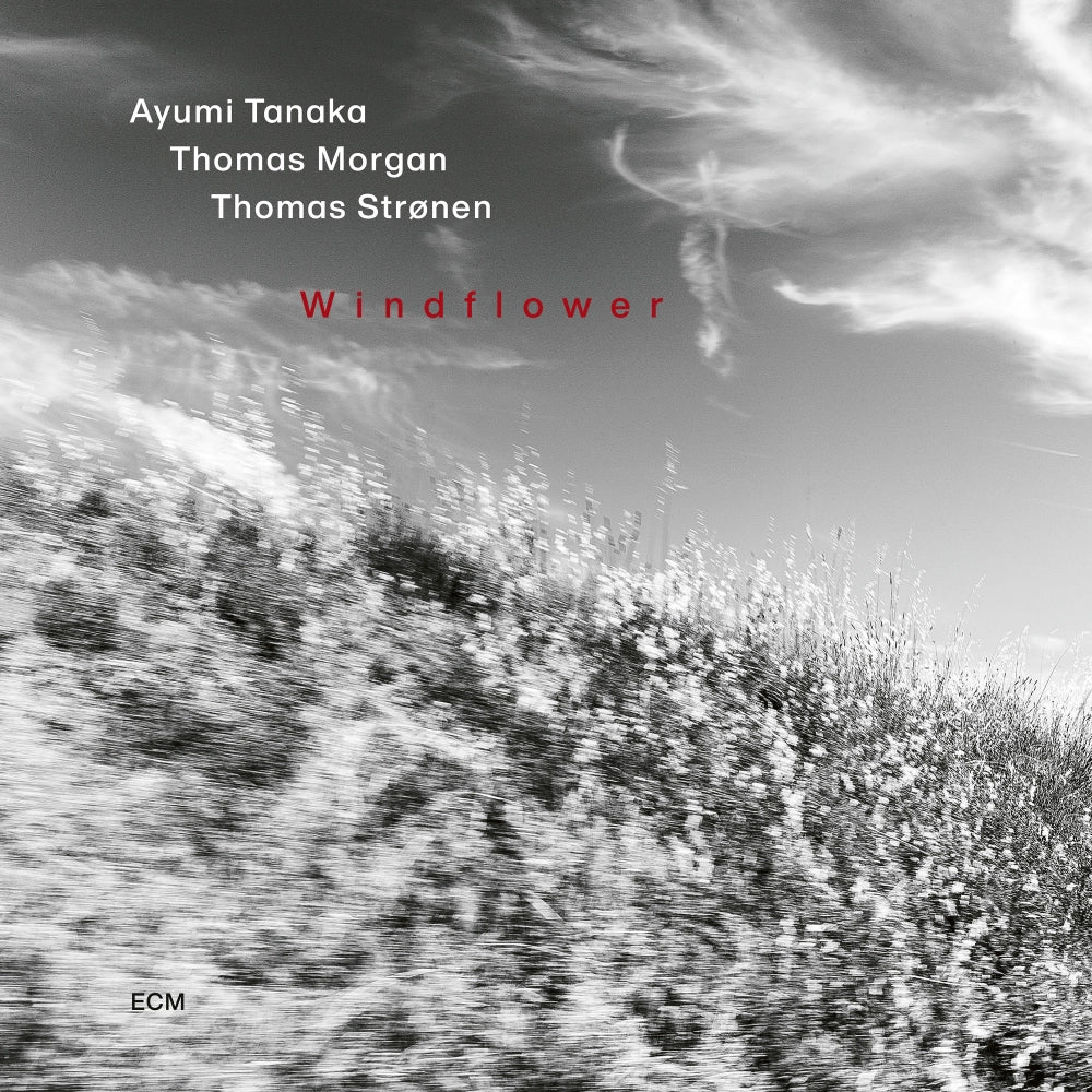Thomas Stronen, Ayumi Tanaka, Thomas Morgan - Windflower (New CD)
