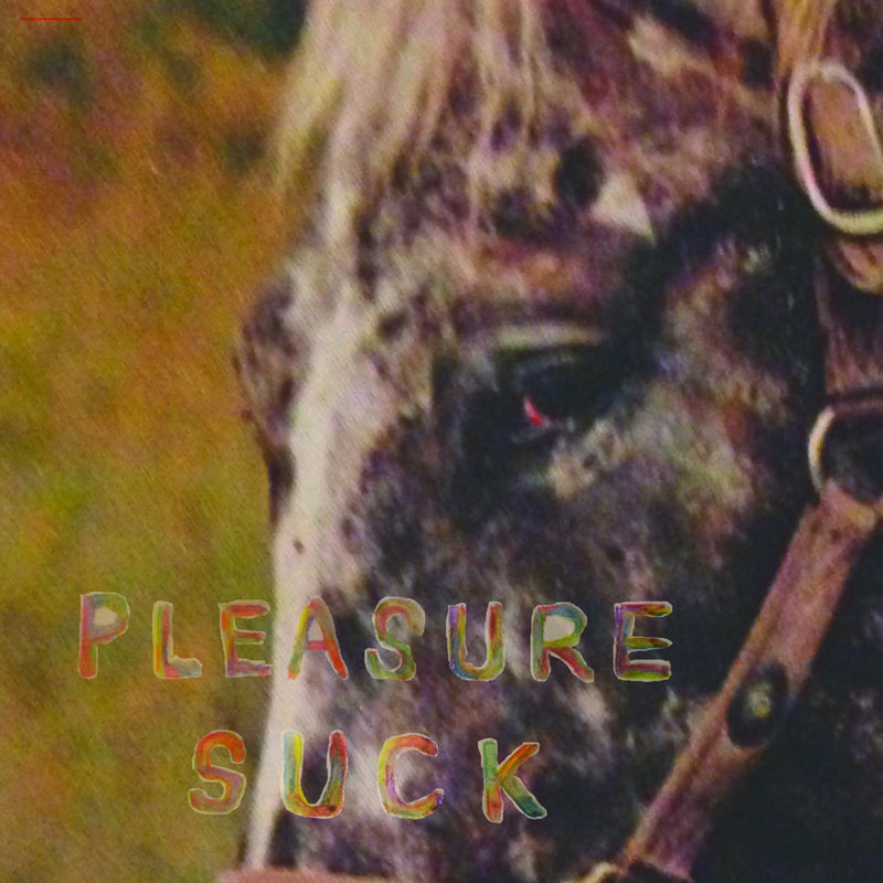 Spirit Of The Beehive - Pleasure Suck (Limited Edition Transparent Orange) (New Vinyl)
