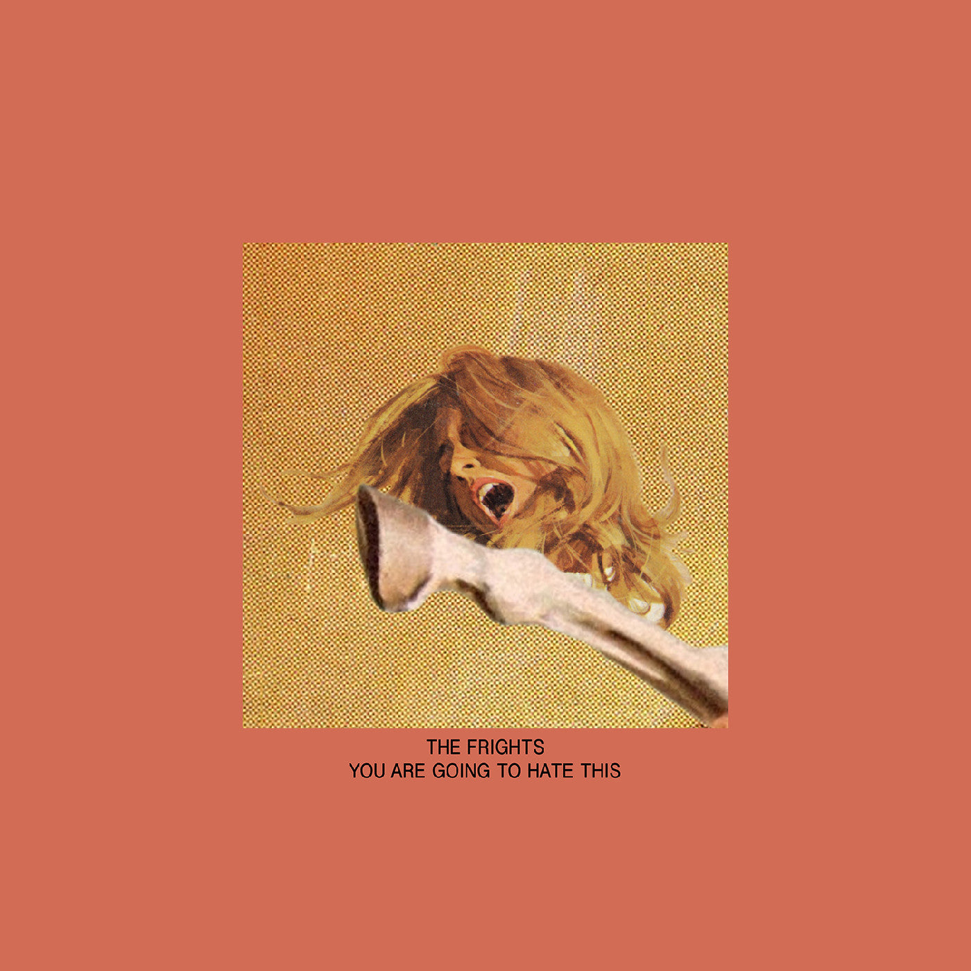 The Frights - You Are Goign To Hate This (New CD)