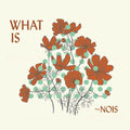~Nois - What Is ~Nois? (New CD)