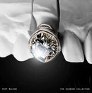 Post Malone - The Diamond Collection (2LP Silver Vinyl) (New Vinyl)