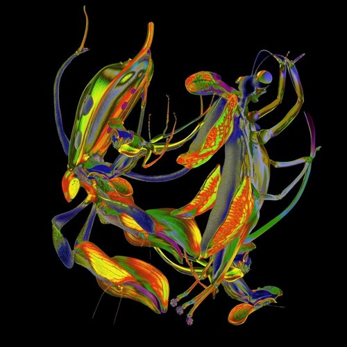 DJ Nobu - Sho (12") (New Vinyl)