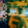 Various Artists - Universal Love: 10 Years Of Love Injection - Compiled By Barbie Bertisch & Paul Raffaele (3LP) (New Vinyl)