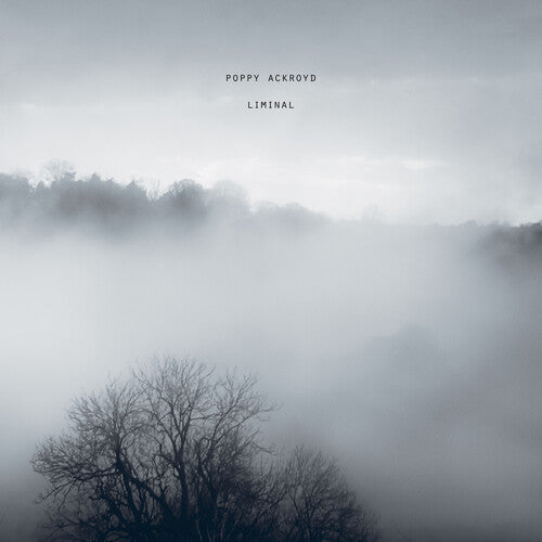 Poppy Ackroyd - Liminal (New Vinyl)