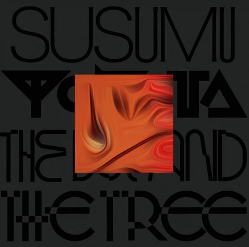 Susumu Yokota - The Boy And The Tree (Skintone Edition) (New Vinyl)