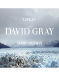 David Gray - Life In Slow Motion (Deluxe 20th Anniversary Glacial Blue Vinyl) (New Vinyl)