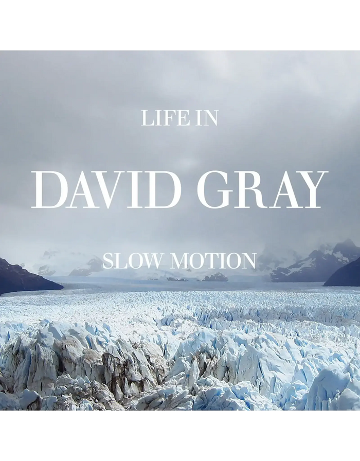 David Gray - Life In Slow Motion (Deluxe 20th Anniversary Glacial Blue Vinyl) (New Vinyl)