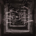 Demonic Possessor - Porous Chambers (New Vinyl)