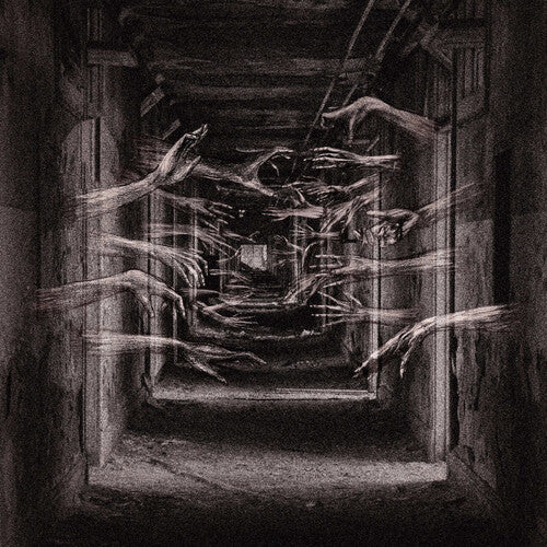 Demonic Possessor - Porous Chambers (New Vinyl)