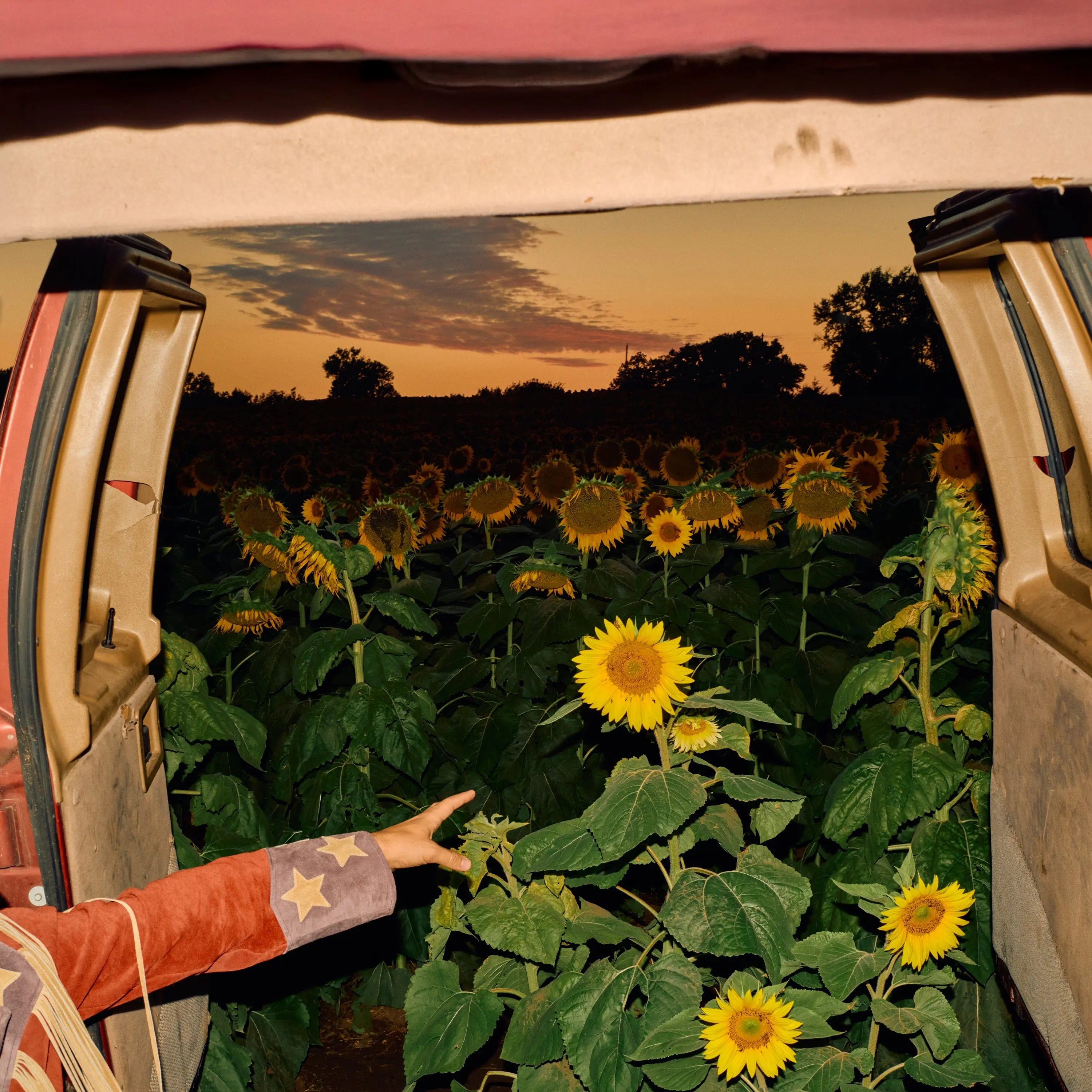 Kevin Morby - Little Wide Open (New CD)