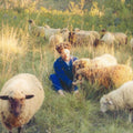 Resavoir - Themes For Dreams (Tea Glass Vinyl) (New Vinyl)