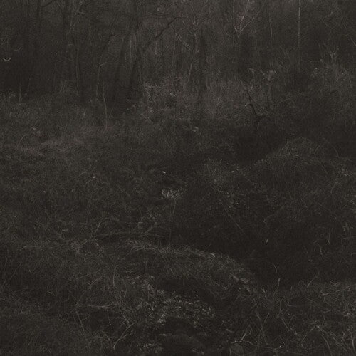 Lesley Mok - Transient (New Vinyl)