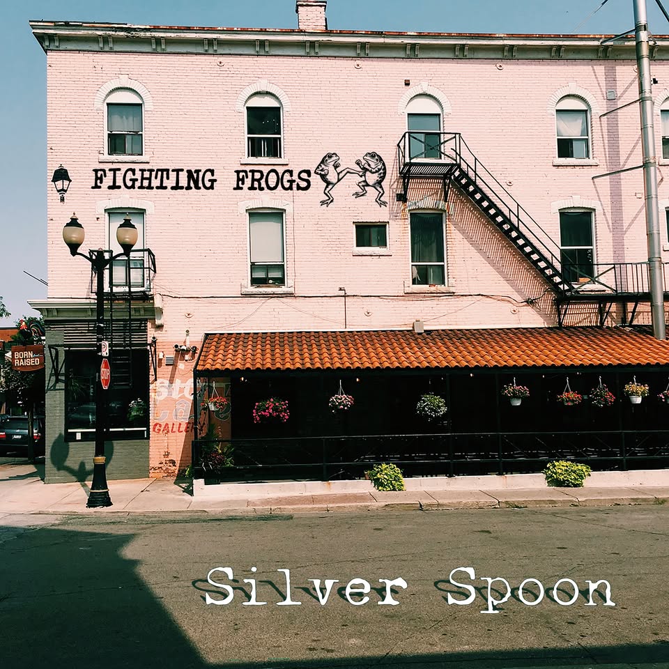 Fighting Frogs - Silver Spoon (New CD)
