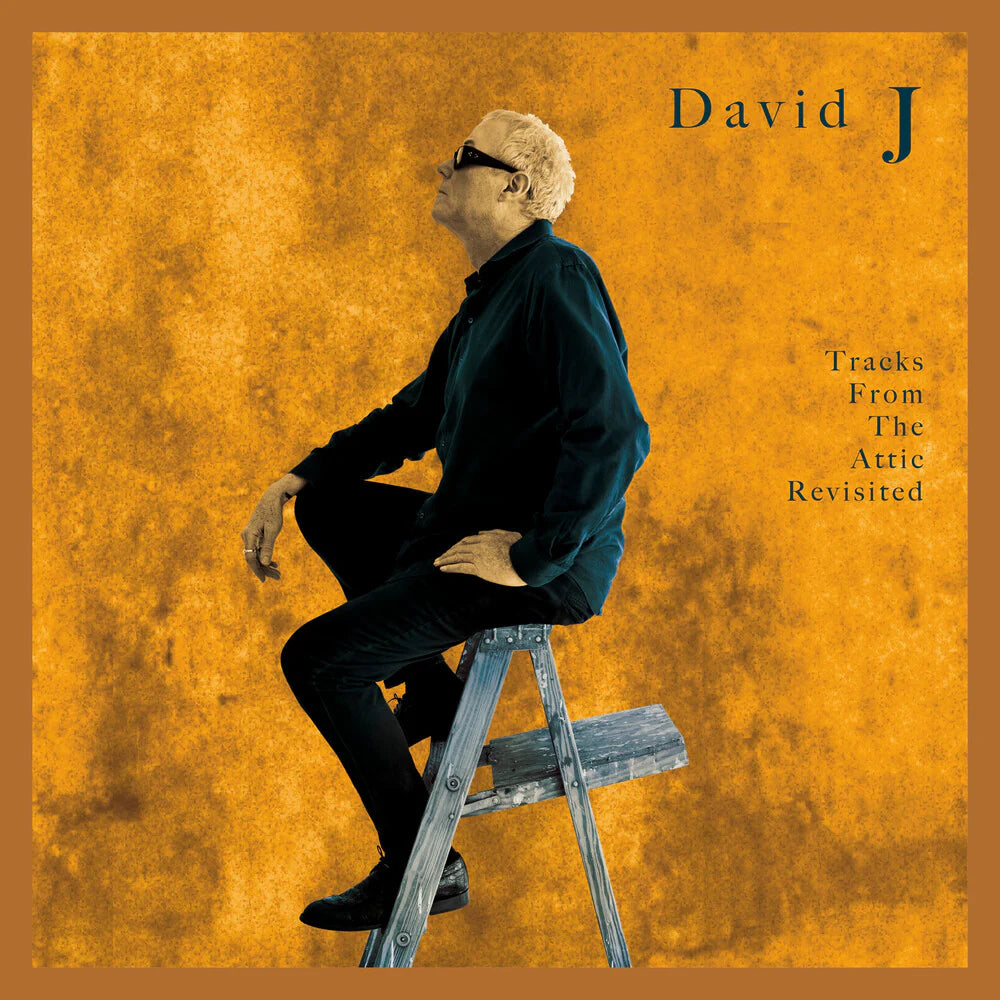 David J - Tracks From The Attic Revisited (New Vinyl)