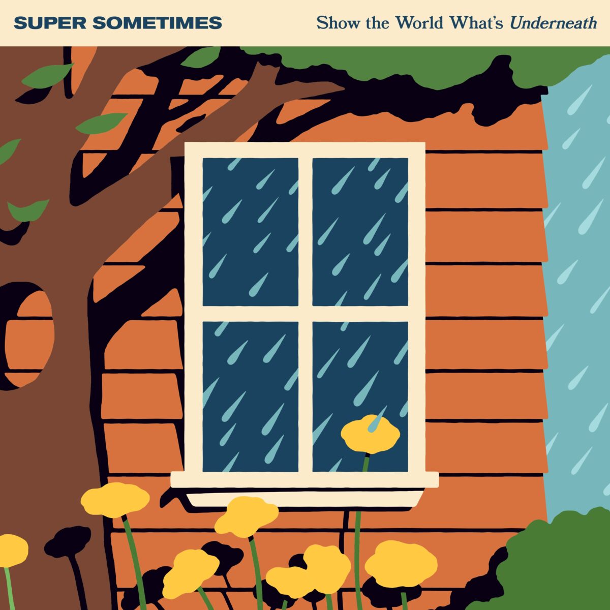 Super Sometimes - Show The World What's Underneath (New CD)