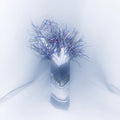 CD Ghost - When The Rain Stops (New CD)