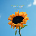 The Snuts - Joy In Short Moments (New CD)