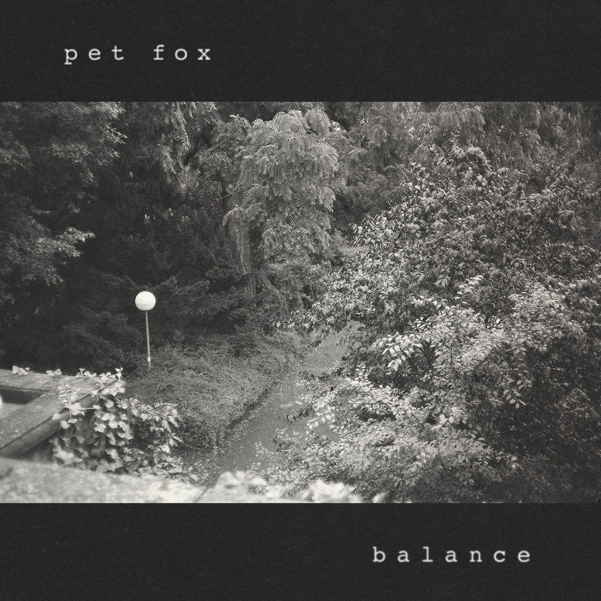 Pet Fox - Balance (Cobweb Colored Vinyl) (New Vinyl)