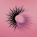 AFI - Silver Bleeds The Black Sun (New CD)