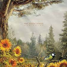 Acacia Strain - Slow Decay (Colour Vinyl) (New Vinyl)