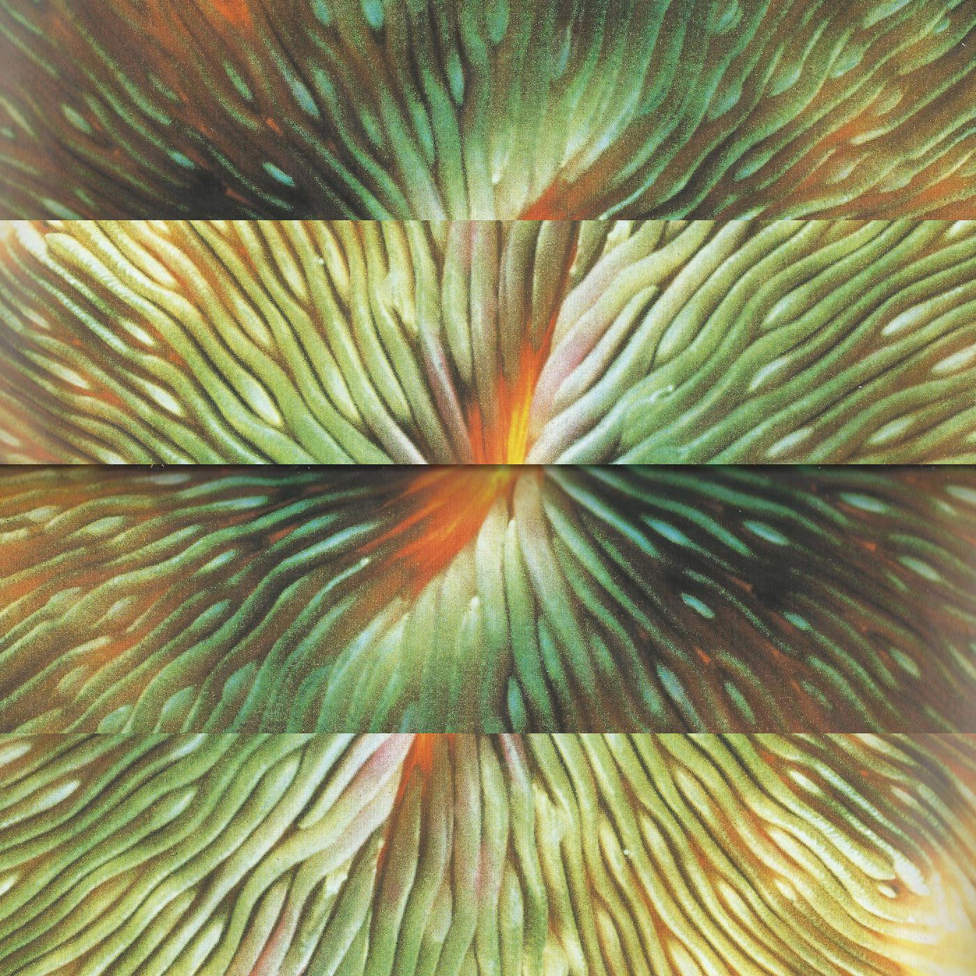 Active Surplus - Mirroring (New Vinyl)