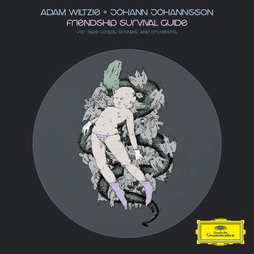 Adam Wiltzie/Johann Johannsson - Friendship Survival Guide (New Vinyl)