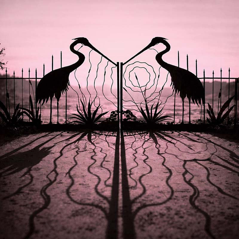 Afhgan Whigs - Soft Control (Indie Exclusive Pink & Black Vinyl)