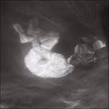 Alice Phoebe Lou – Glow (New Vinyl)