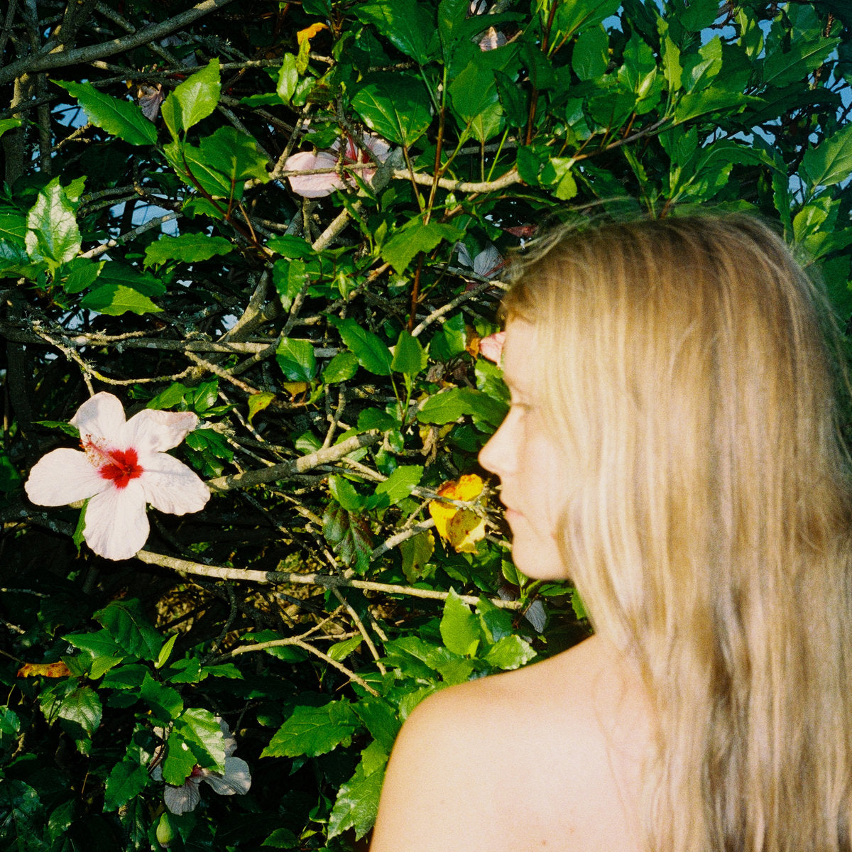 Alice Phoebe Lou – Oblivion (Special Edition Red) (New Vinyl)