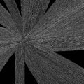 Amina Claudine Myres - Solace Of The Mind (New Vinyl)