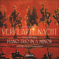 Amsterdam Piano Trio - Tchaikovsky: Piano Trio In A Minor (New CD)