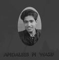 Andaleeb Wasif - Andaleeb Wasif (New Vinyl)