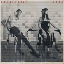 Andrew Bird & Madison Cunningham - Cunningham Bird (New CD)