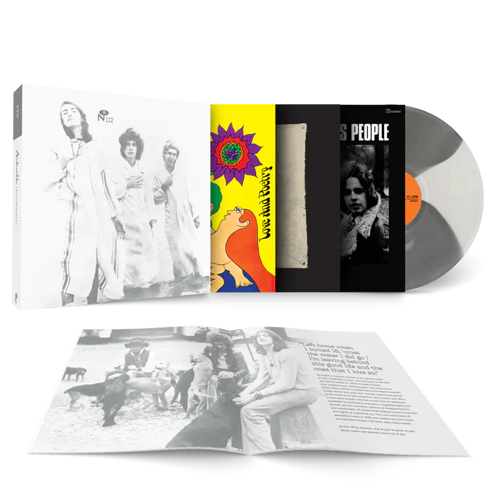 Andwella - To Dream (3LP Shades of Grey Vinyl) (New Vinyl)