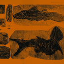 Annelies Monsere - Mares (New Vinyl)