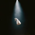 Ariana Grande - Eternal Sunshine Deluxe: Brighter Days Ahead (New CD)