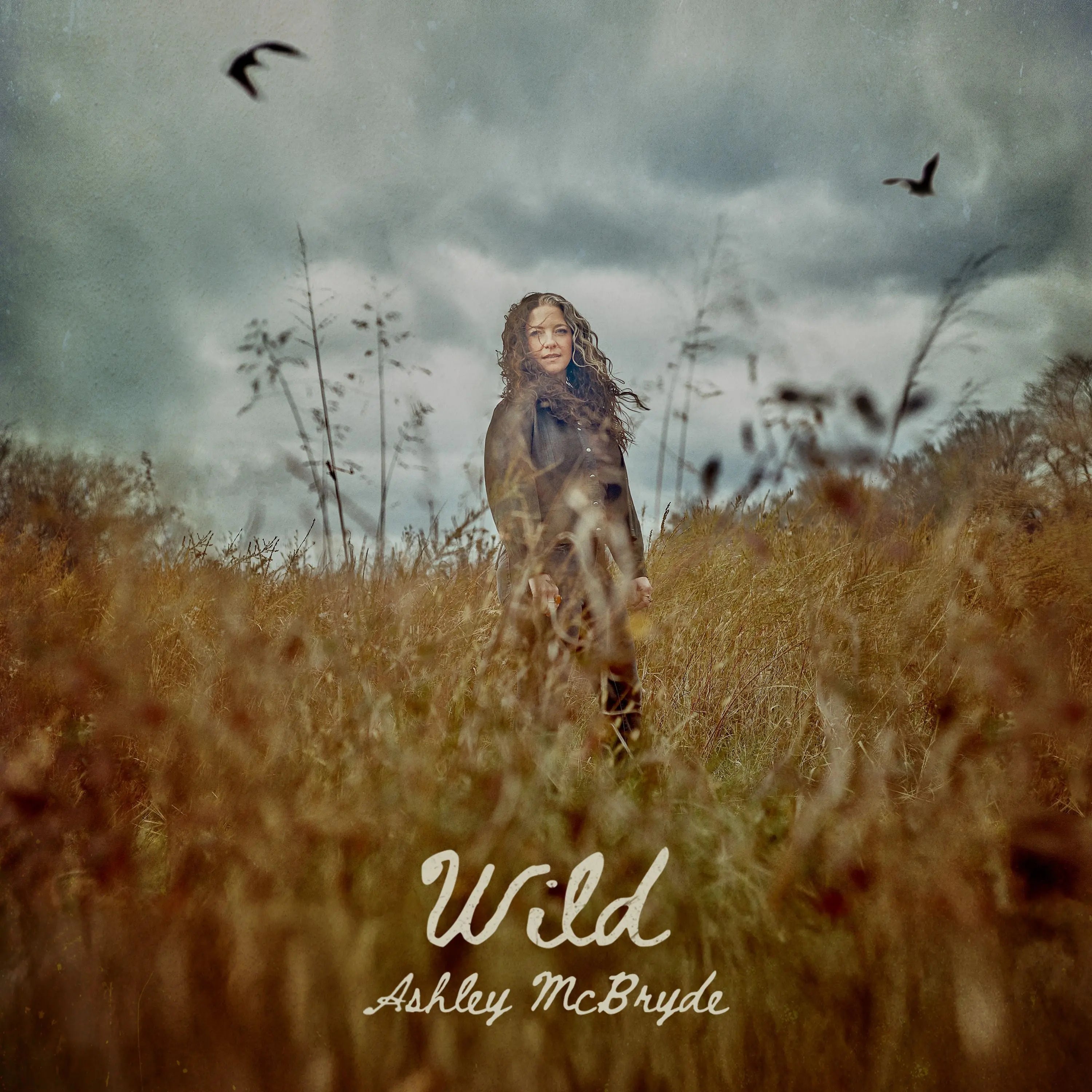 Ashley McBryde - Wild (New Vinyl)