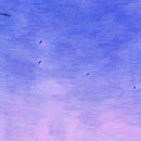 Auntie Flo - In My Dreams (I'm A Bird and I'm Free) (New Vinyl)