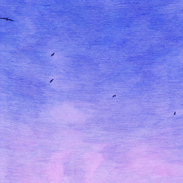 Auntie Flo - In My Dreams (I'm A Bird and I'm Free) (New Vinyl)